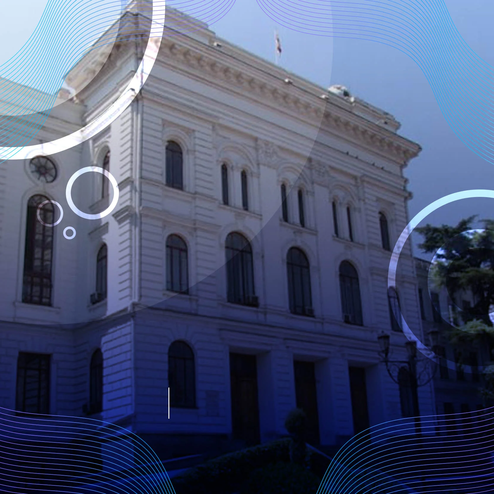 About TSU Georgia